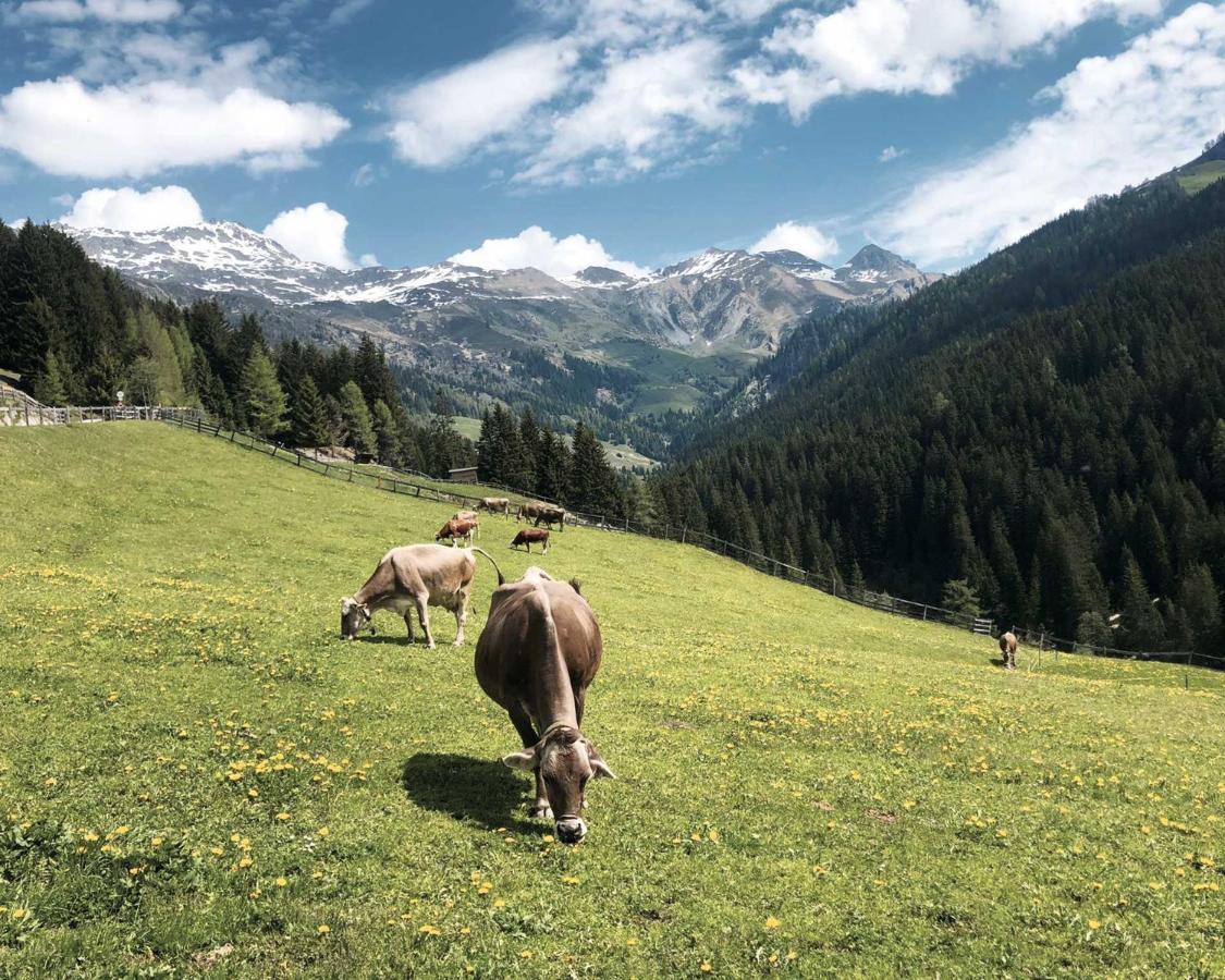 Ferienhaus Bergler Hoamat Navis Exteriér fotografie